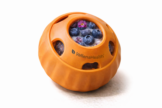 VellenaHealth™ Calming Frozen Enrichment Toy